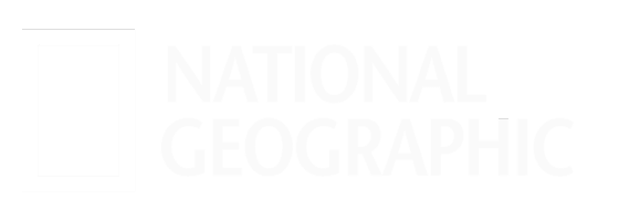 6 e1732570696356