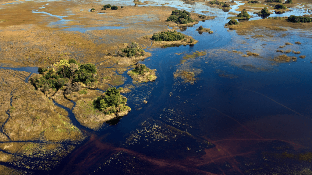 The Best Remote Holiday Destinations for Unforgettable Adventures 10 botswana