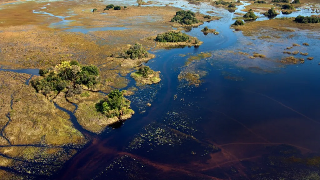 Aerial view of the Okavango Delta, a remote and unique wetland landscape in Botswana.