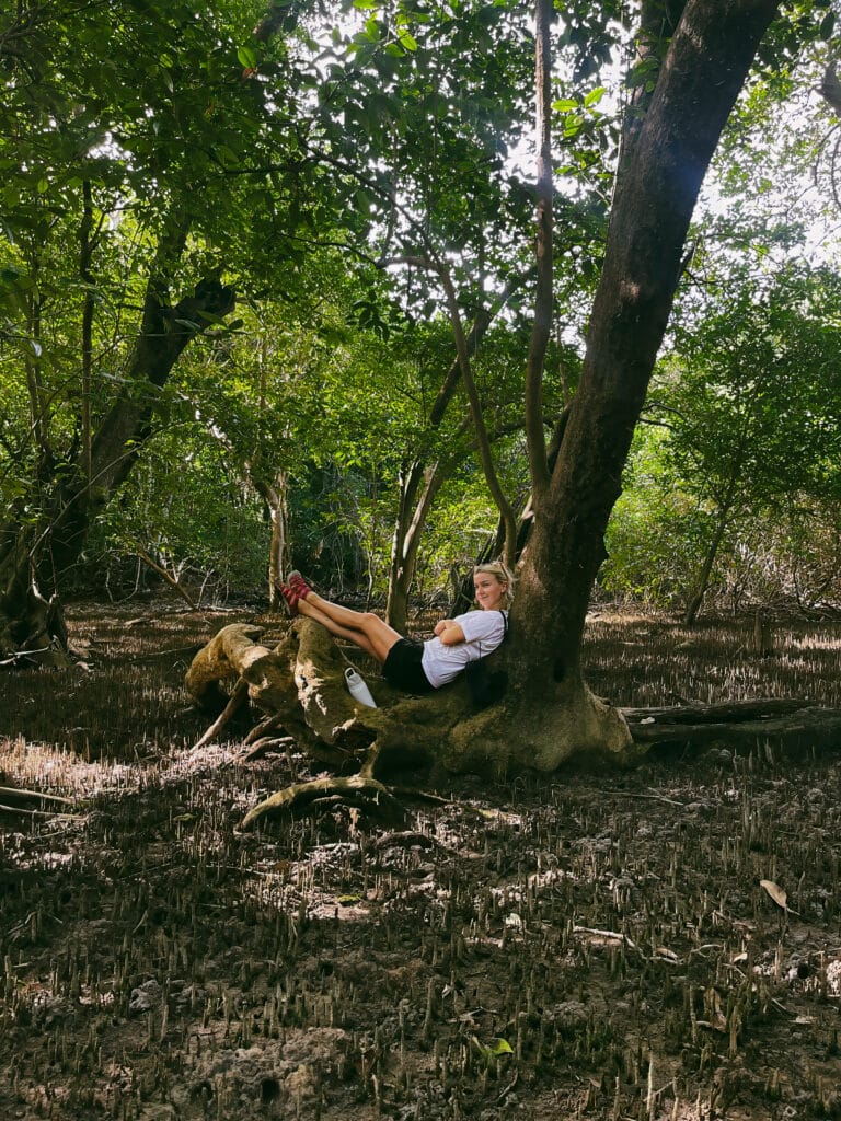 How to Travel Light and Still Be Prepared 5 A young woman, likely a tourist, is relaxing beneath a large tree in a mangrove forest. She's resting on a fallen log, nestled amongst the unique root systems of the mangrove trees. The image suggests a moment of peaceful exploration and appreciation for the natural beauty of the mangrove ecosystem.