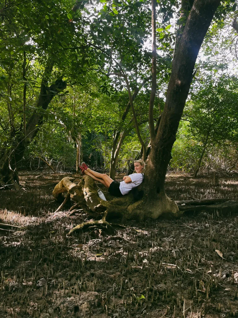 A young woman, likely a tourist, is relaxing beneath a large tree in a mangrove forest. She's resting on a fallen log, nestled amongst the unique root systems of the mangrove trees. The image suggests a moment of peaceful exploration and appreciation for the natural beauty of the mangrove ecosystem.