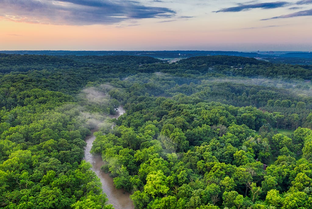 The Best Remote Holiday Destinations for Unforgettable Adventures 5 Scenic aerial view of a lush green forest with a river and mist at sunset, showcasing nature's beauty.
