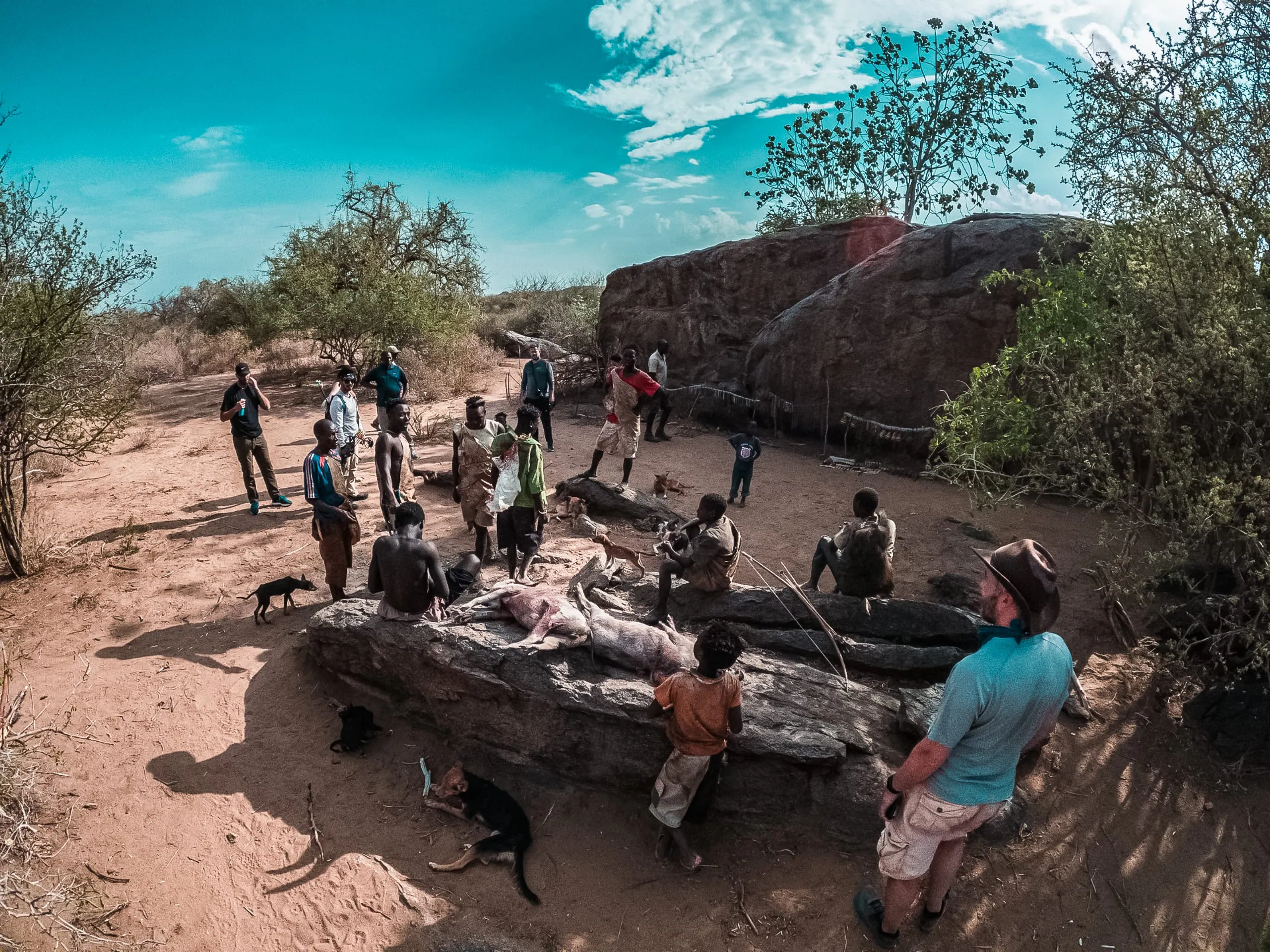A group of people and children gather outdoors around large rocks and animal carcasses in a dry, bushy landscape under a blue sky during a Hadza Tribal Bushcraft Experience & Luxury Safari.
