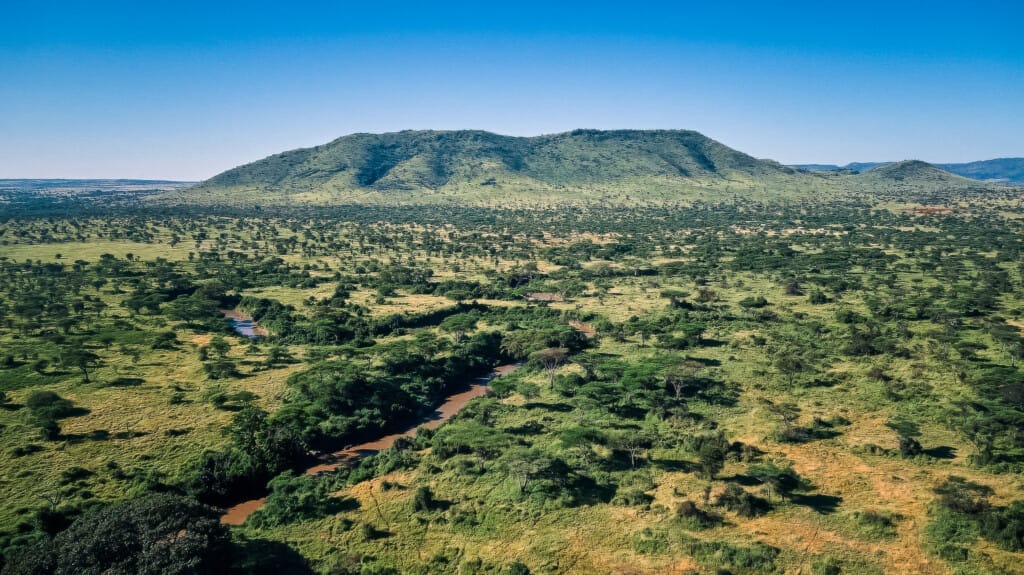 Hadza Tribal Bushcraft Immersion & Luxury Safari 4 Aerial view of a green savanna landscape with scattered trees, a winding river, and a large, flat-topped hill under a clear blue sky—perfect for a Hadza Tribal Bushcraft Immersion & Luxury Safari adventure.