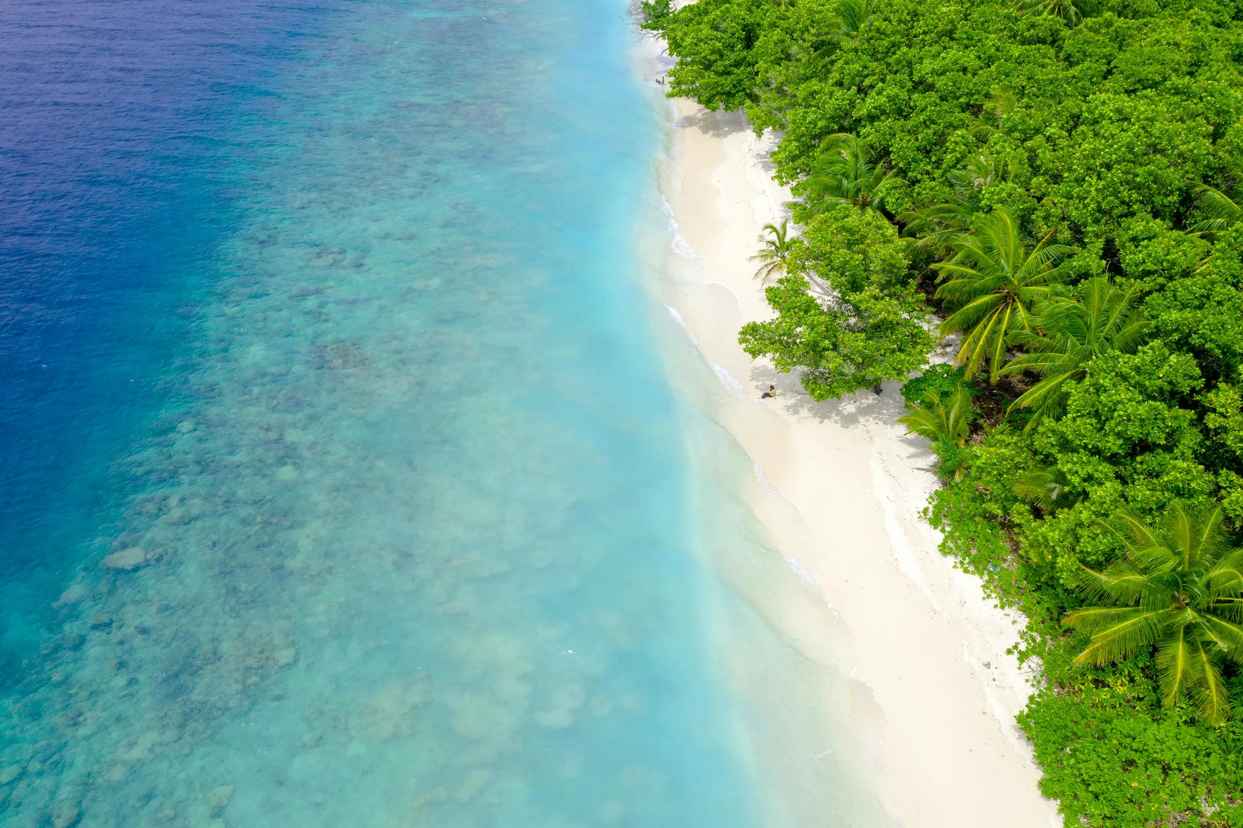 Stunning aerial view of a vibrant tropical beach and lush green forest.