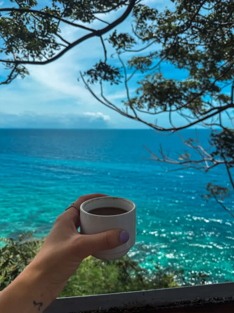 Survival Lite Hand holding coffee cup with turquoise ocean view framed by tree branches. Serene coastal scene.
