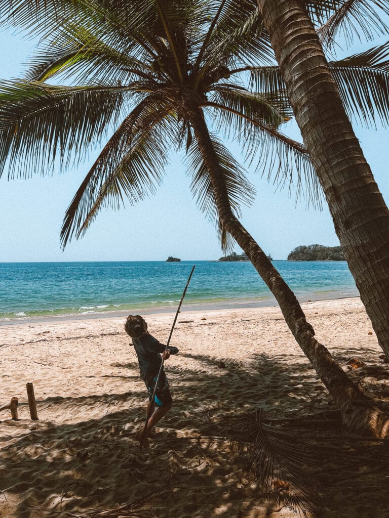 Private Group Adventures 5 Palm trees on a tropical desert island beach with a person navigating the shoreline, emphasizing survival skills.