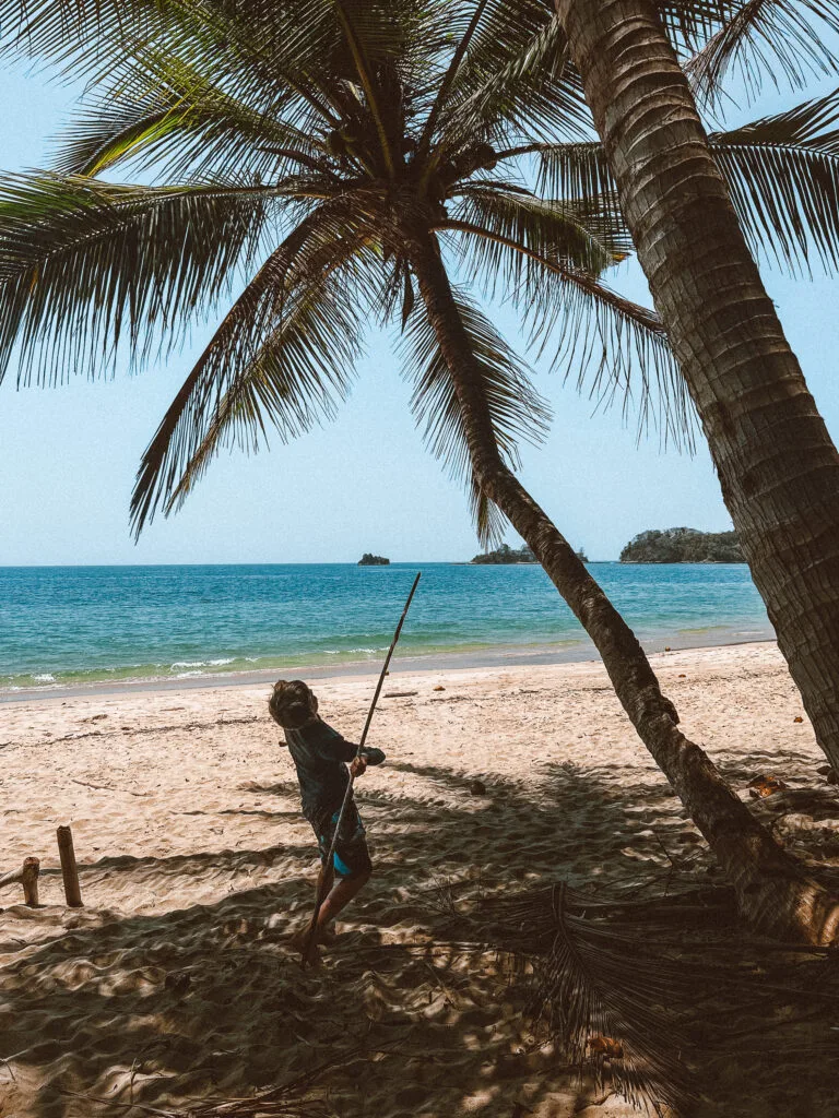 Palm trees on a tropical desert island beach with a person navigating the shoreline, emphasizing survival skills.