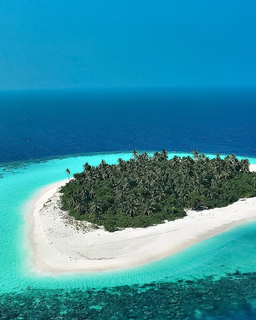 Desert Island Survival Adventure in the Maldives 8 A small tropical island with dense palm trees sets the stage for an Island Survival Adventure in the Maldives, surrounded by white sandy beach and clear turquoise waters against the deep blue ocean.