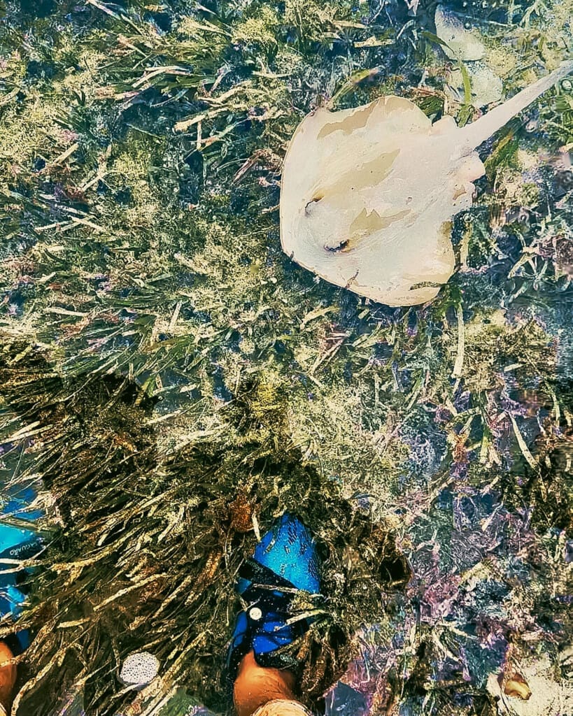 Desert Island Survival Adventure in the Maldives 12 3 maldives 2505