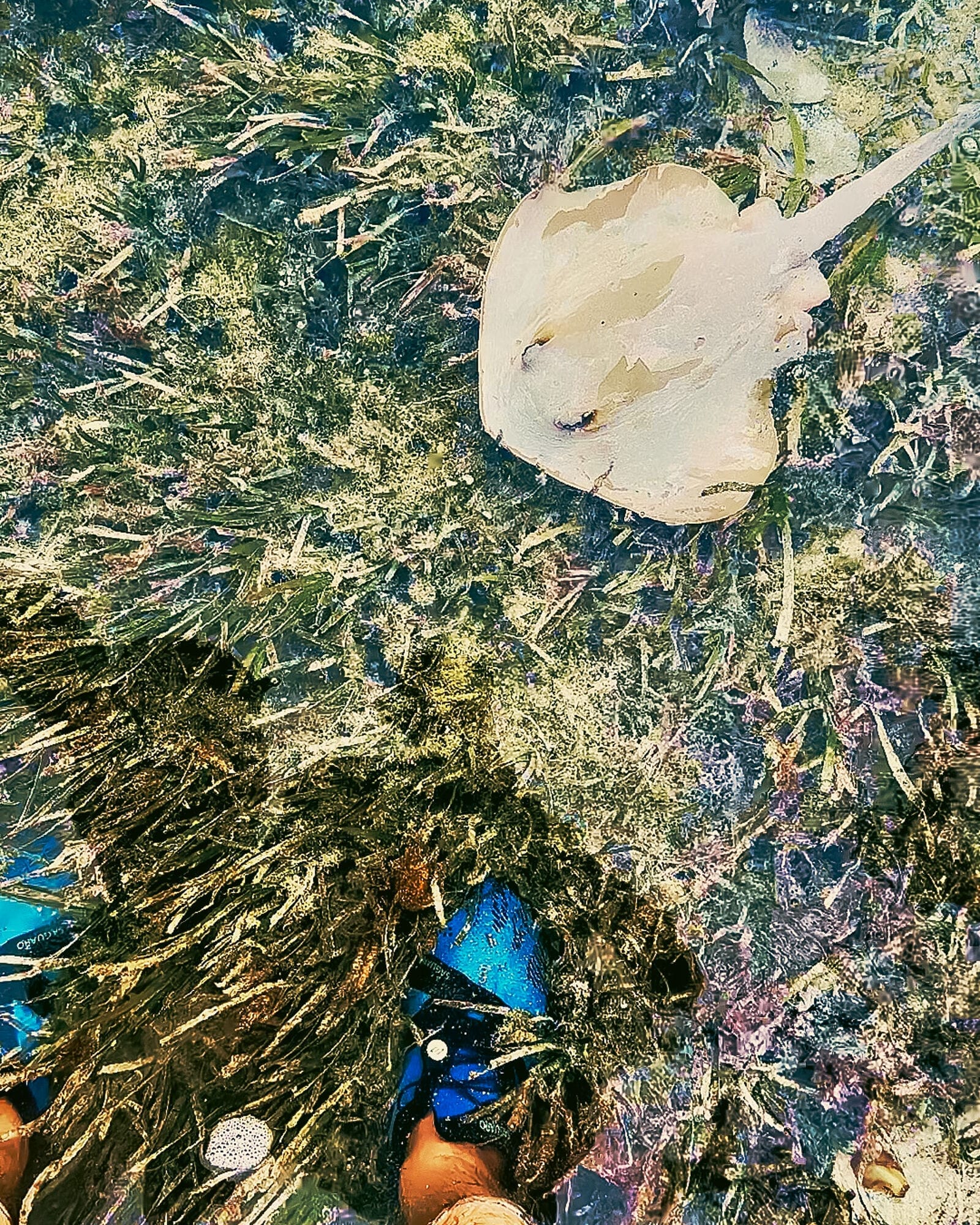 Desert Island Survival Adventure in the Maldives 27 3 maldives 2505