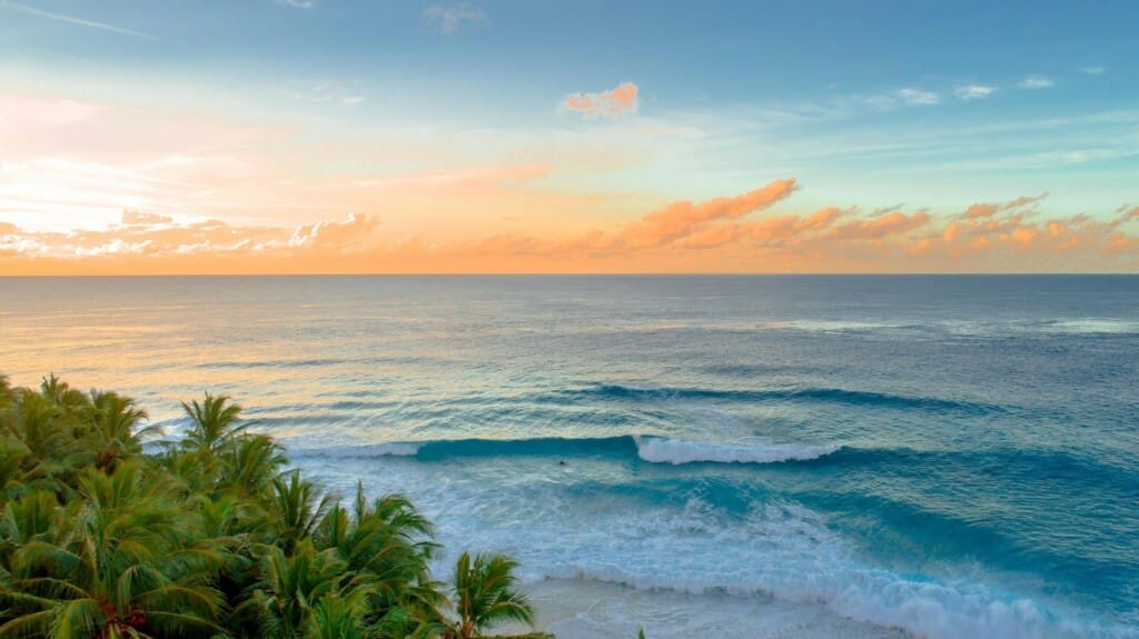 Desert Island Survival Adventure in the Maldives 4 Calm ocean waves roll toward a sandy beach lined with palm trees at sunset, under a partly cloudy sky with orange and blue hues—experience this 11-day Island Survival Adventure in the Maldives from £3. (591 Duration).