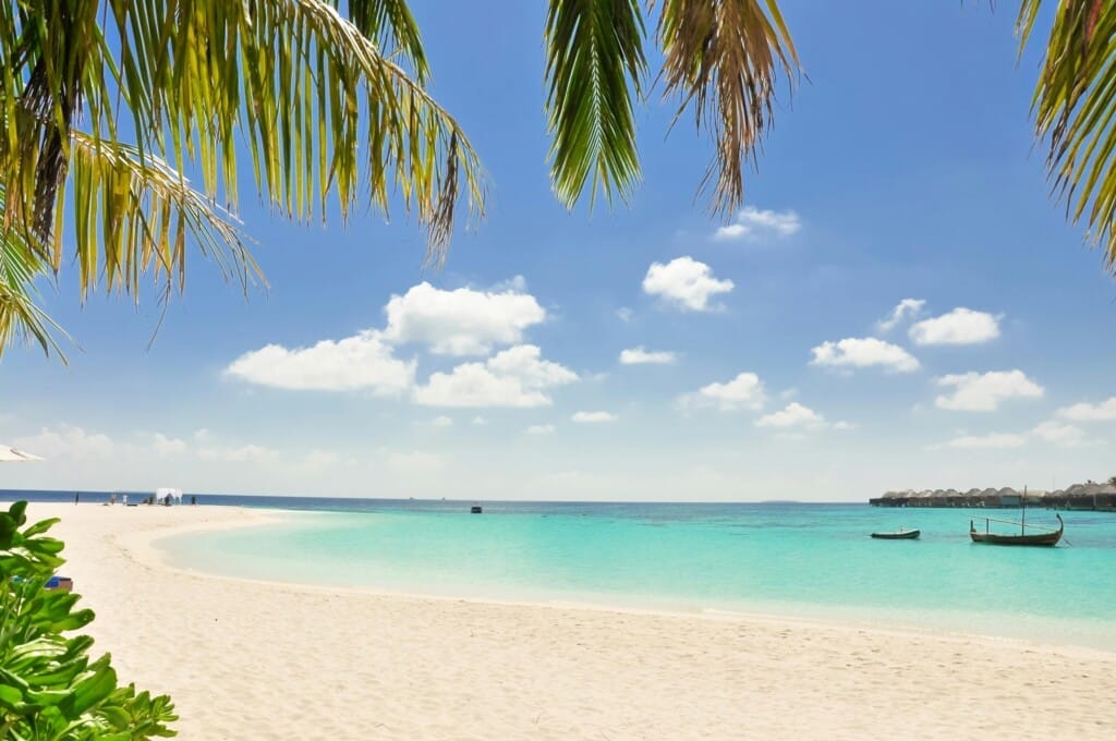 Desert Island Survival Adventure in the Maldives 5 Sandy beach with turquoise water, clear sky, and a few boats in the distance; palm leaves hang above in the foreground—perfect for an Island Survival Adventure in the Maldives.