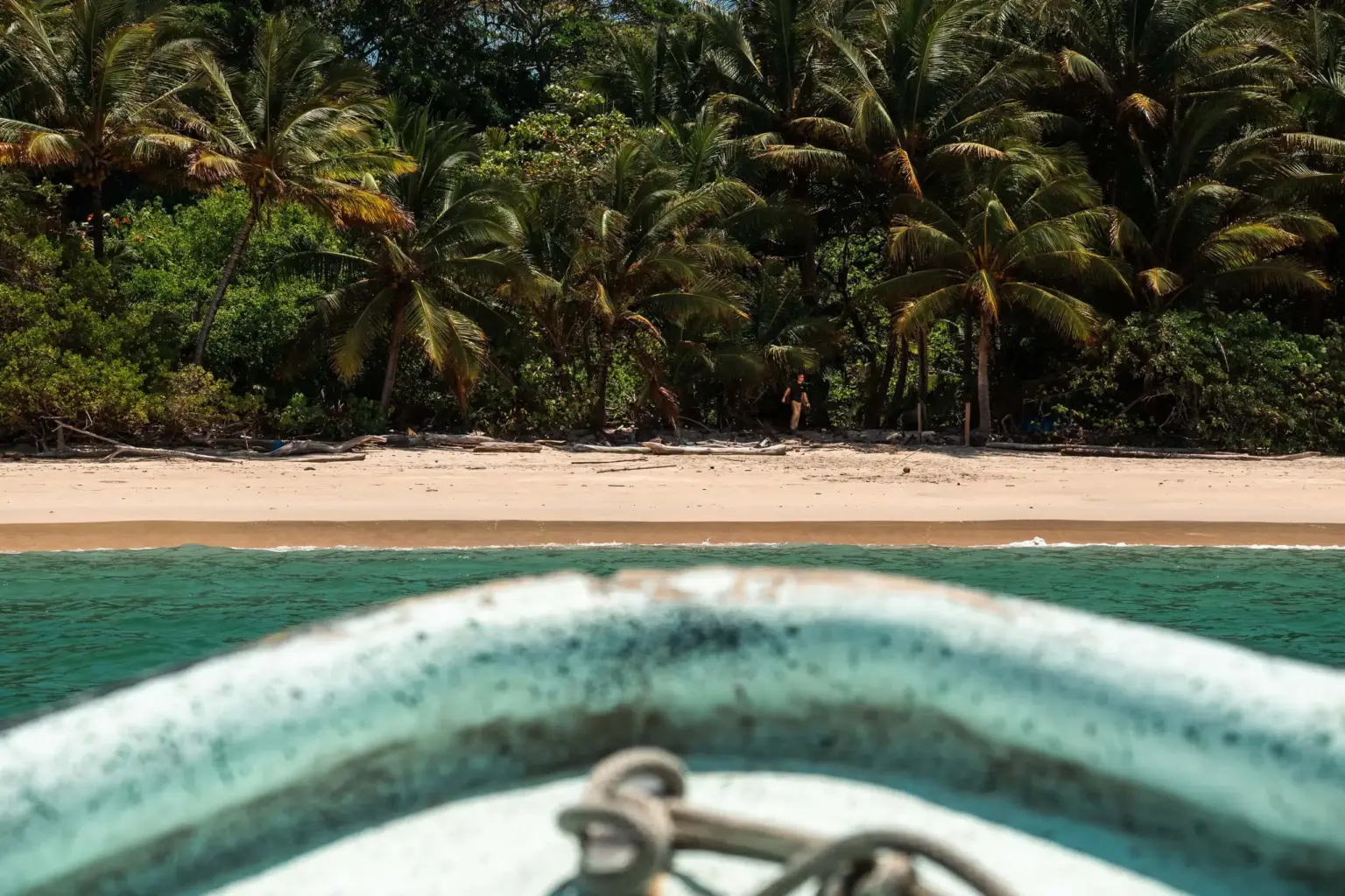 View from a boat approaching a sandy beach with dense palm trees and greenery in the background.