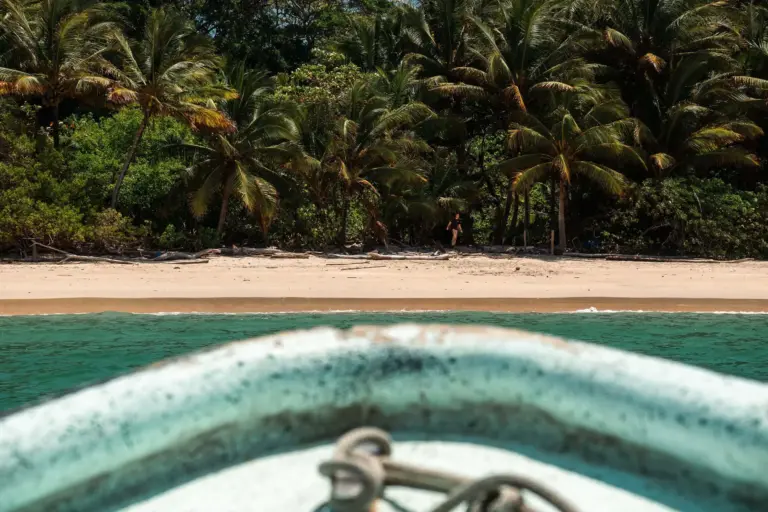 How to Go Wild Without Wrecking the Wild: Our Low-Impact Promise 4 View from a boat approaching a sandy beach with dense palm trees and greenery in the background.