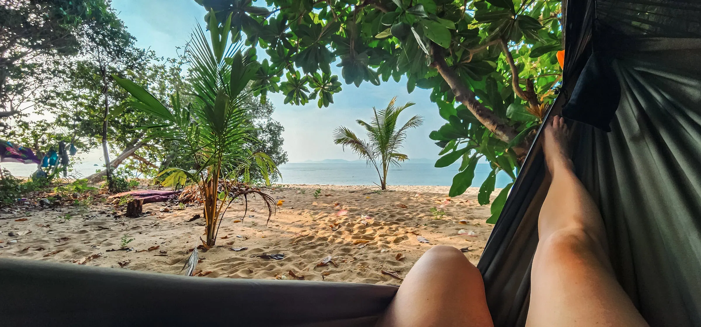 Lush tropical beach scene viewed from inside a hammock with person relaxing, surrounded by greenery, overlooking the ocean, perfect for desert island survival and outdoor adventure.