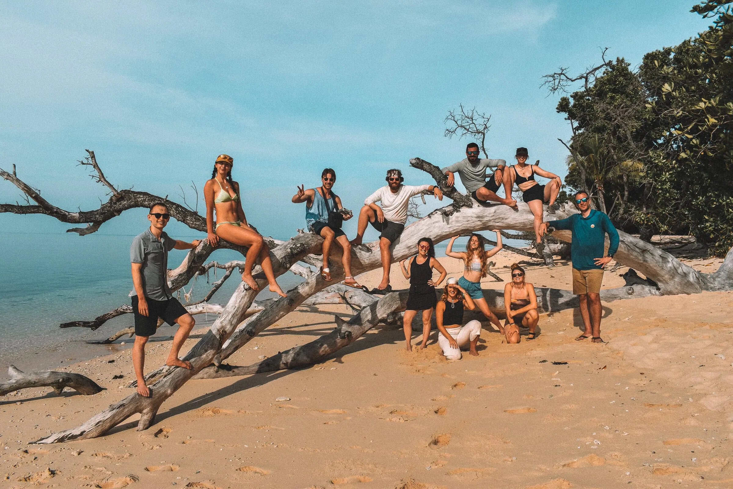 A group of friends enjoying a tropical beach by a driftwood tree, perfect for desert island survival adventures and outdoor activities.