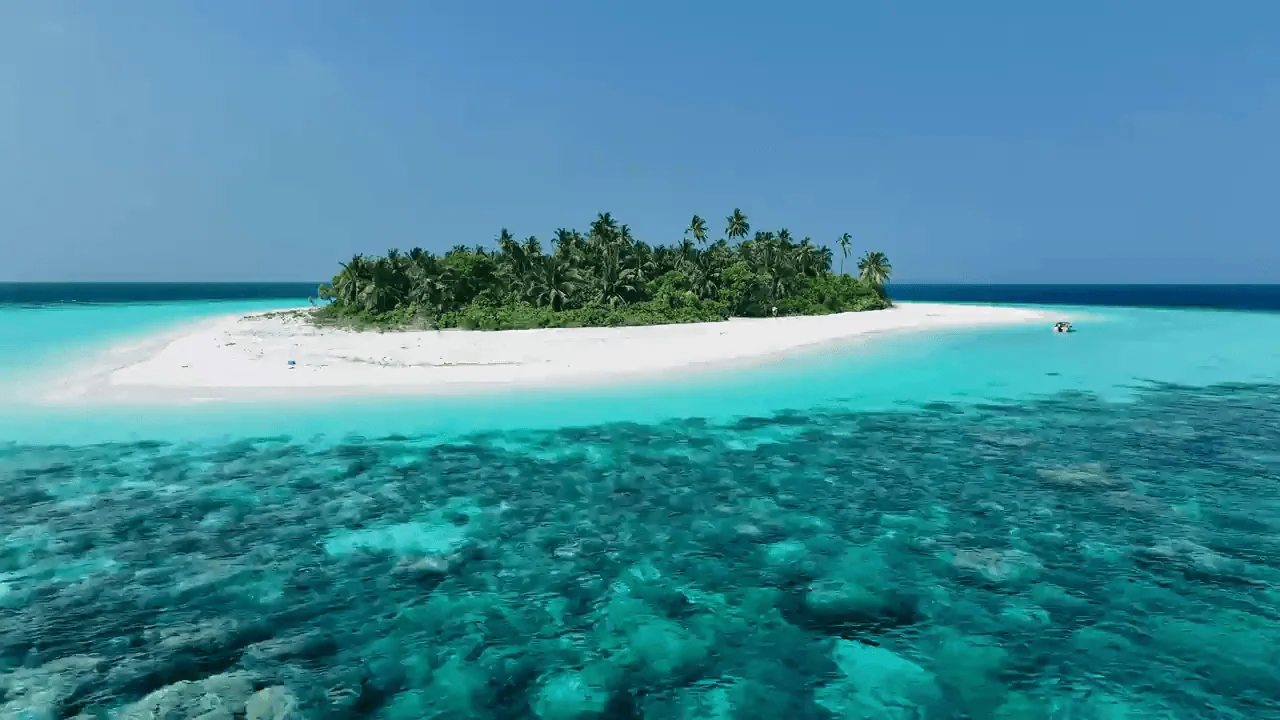 Desert Island Survival Adventure in the Maldives 16 Desert island surrounded by clear turquoise waters with sandy beaches and lush tropical vegetation, ideal for survival and adventure on a remote island.
