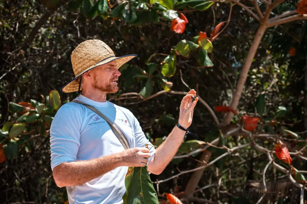 7 Bushcraft Skills That Change How You Travel 3 A man in a straw hat examining a small object in his hand amidst tropical foliage on a desert island survival adventure.