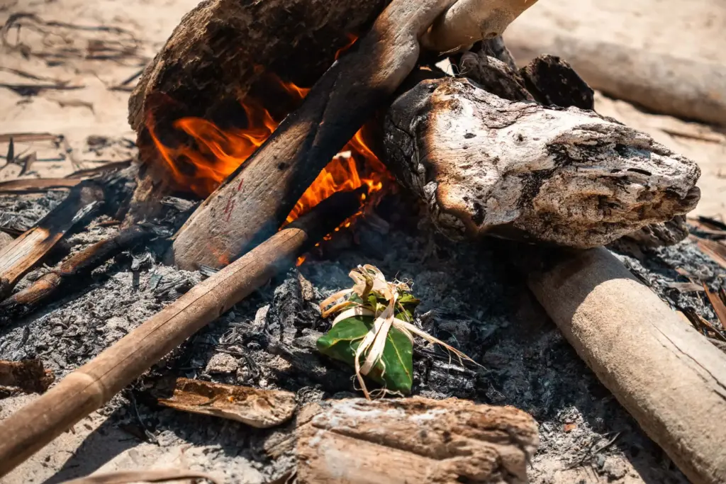 Your Body's Forgotten Language 3 Smoldering campfire with driftwood and dried leaves on a sandy desert island beach.