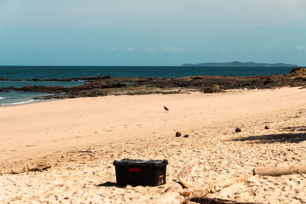 Your Body's Forgotten Language 7 Beach with survival toolbox on a deserted island, remote island, coastal survival, desert island essentials, ocean view.