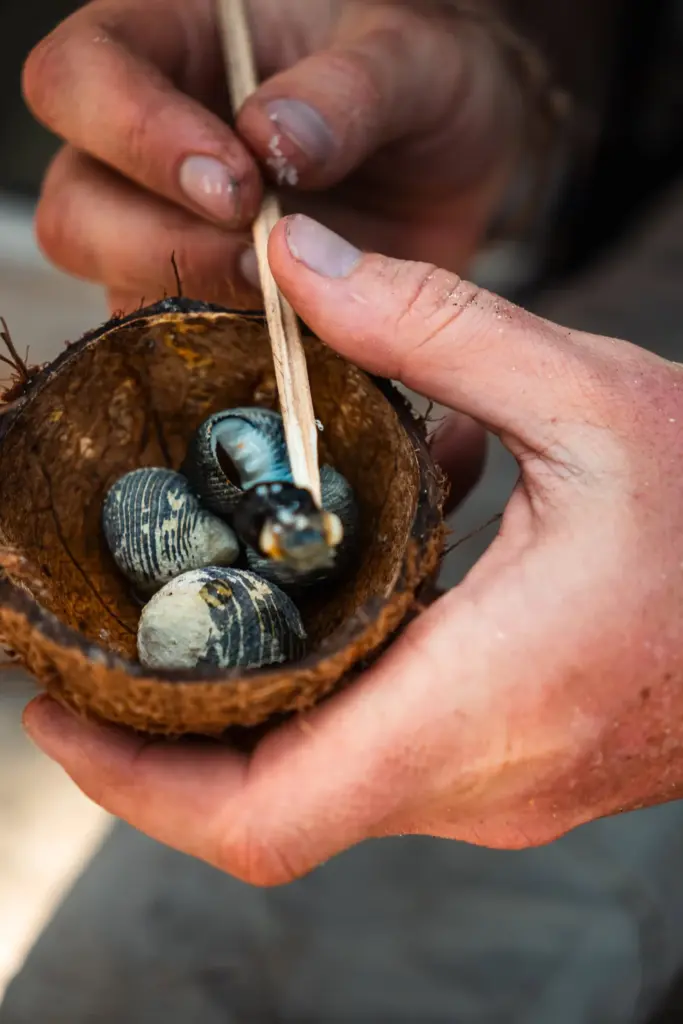 Your Body's Forgotten Language 4 Hand holding coconut with turtle eggs, close-up shot, survival on desert islands, wildlife, nature, eco-friendly living.