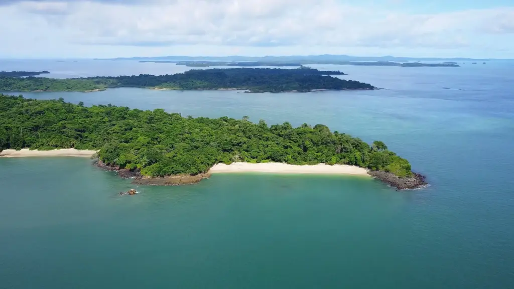 Lush tropical island with white sandy beach surrounded by clear turquoise waters, perfect for desert island survival adventures. Dense greenery provides shelter and resources in a remote island setting.