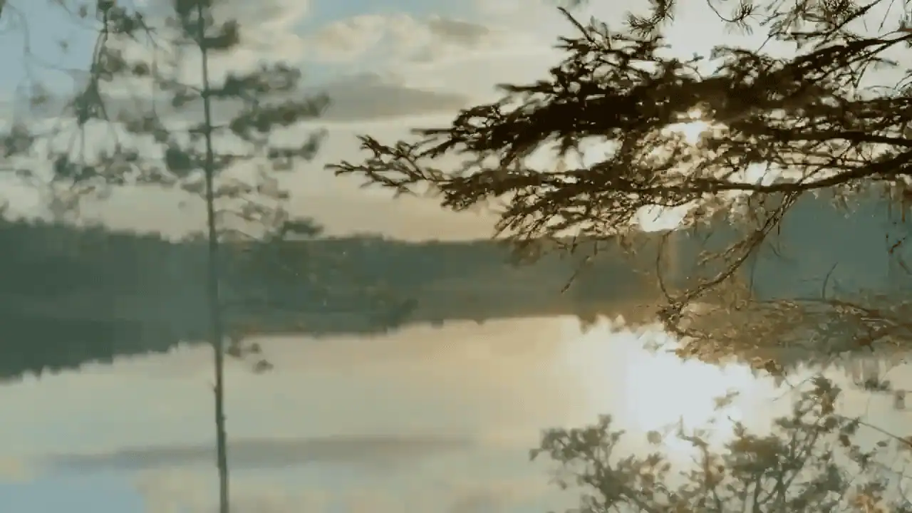 Sweden Alone bushcraft survival experience 13 swe gal 30 hqbf