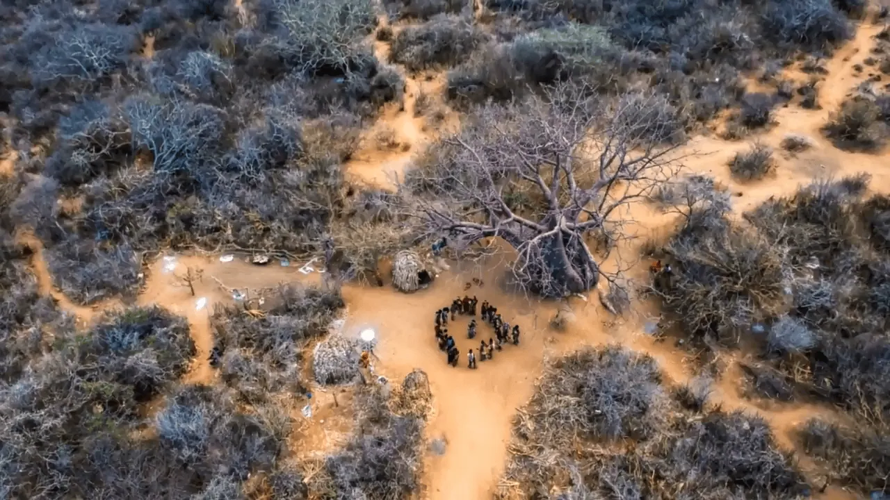 Hadza Tribal Bushcraft Immersion & Luxury Safari 16 Remote desert island survival camp with dry trees and basic shelter, emphasizing outdoor survival skills and wilderness endurance.