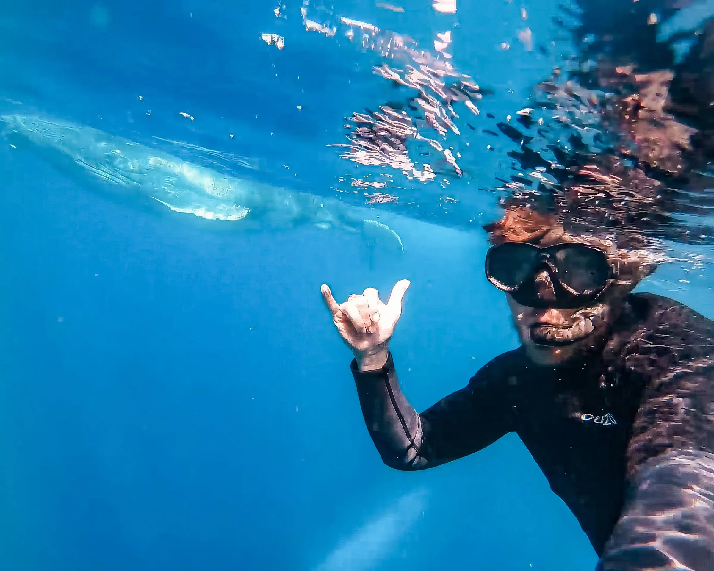 Desert Island Survival Adventure in Tonga 14 Survivor snorkeling in ocean, underwater diving adventure, swimming with fish on desert island, water survival skills, marine life exploration in tropical waters.