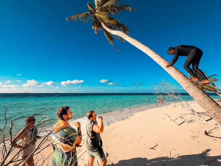 Person climbing leaning palm tree on tropical beach, others watching. Blue sky and ocean.