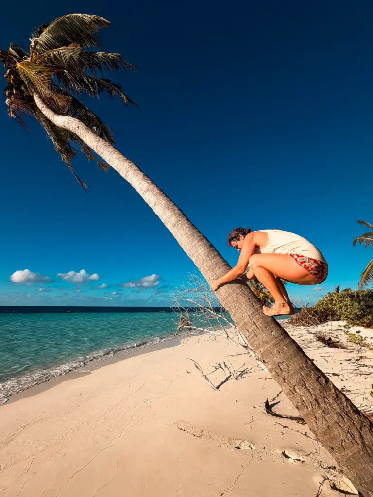 Woman climbing palm tree on tropical beach, Maldives survival