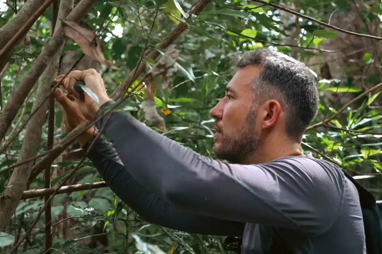 Man using knife to cut branch in forest, wearing grey long-sleeve shirt.