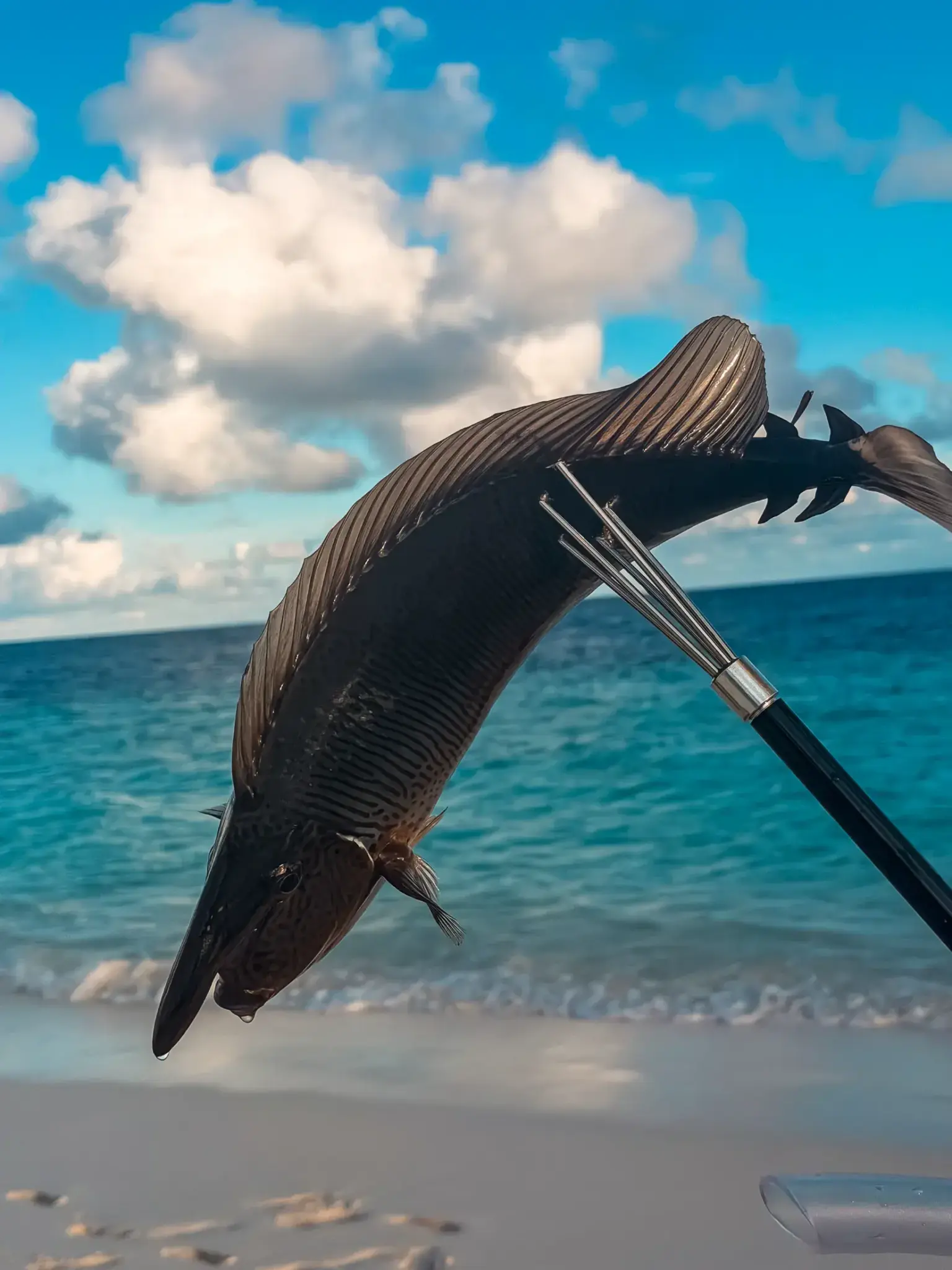 Spearfished fish on spear, Maldives ocean backdrop. Survival in the Maldives.