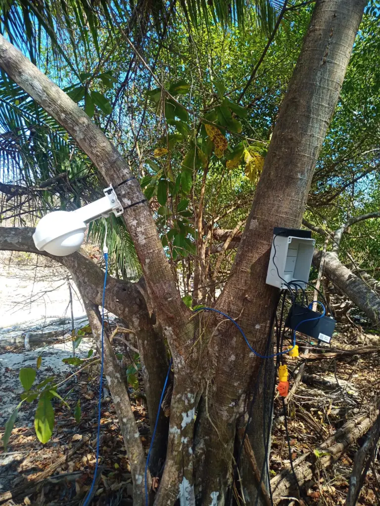 Environmental monitoring equipment attached to a tree on a beach.