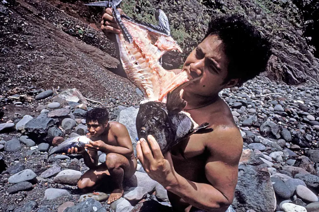 Tonga castaways eating raw fish on rocky beach. Survivor lifestyle.