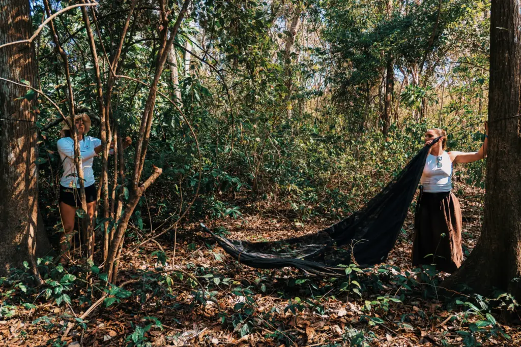 Two women setting up a hammock in a lush, green forest environment.