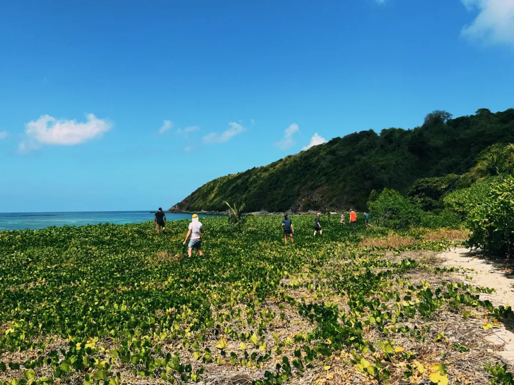 The World Feels Dangerous Right Now. Here Is What That Actually Means for a DIS Expedition. People walking through a green, coastal field towards a wooded hillside under a bright blue sky.