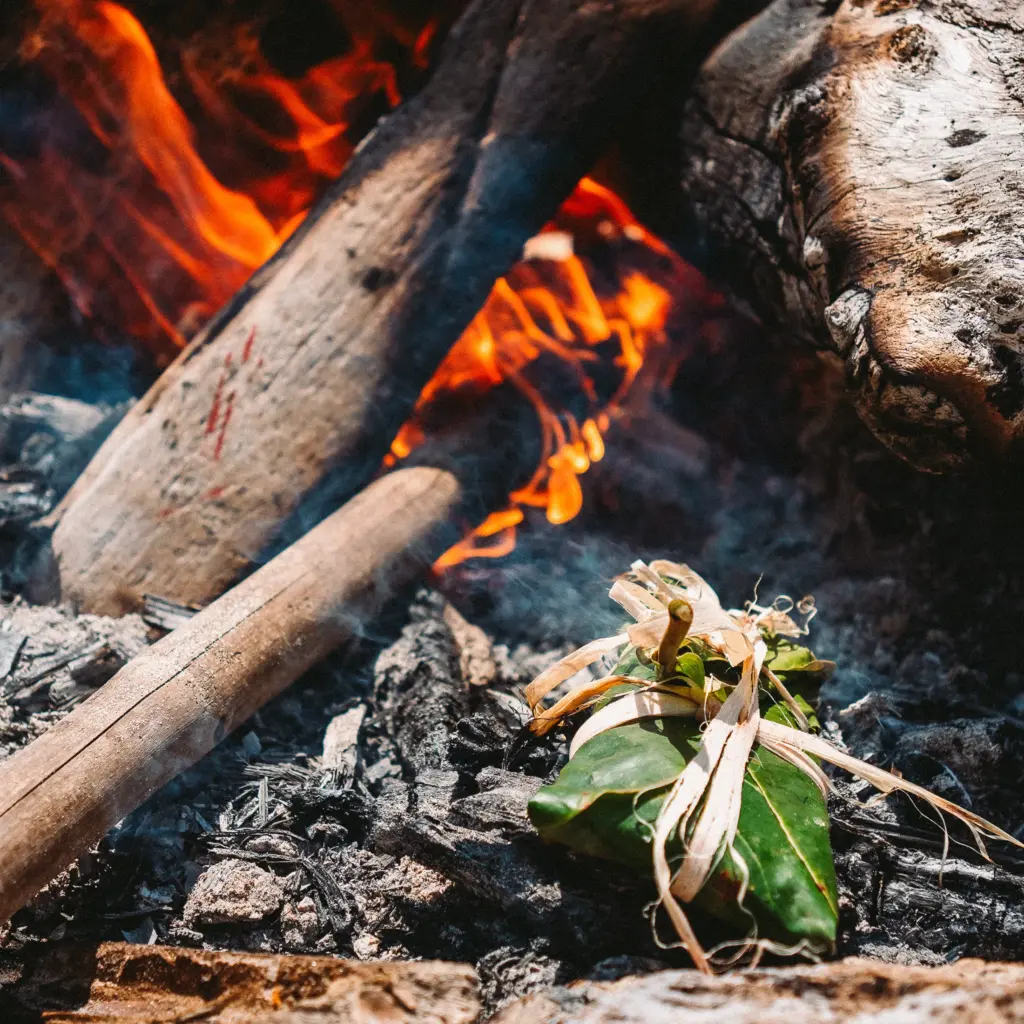 Food wrapped in leaves cooking in embers of fire.