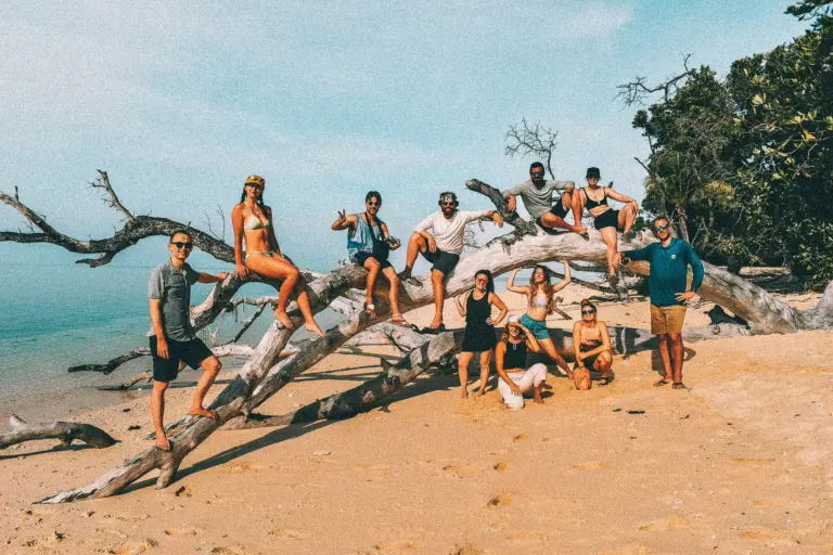 Group of people on tree branch at beach, keeping expedition size at 9 or 12