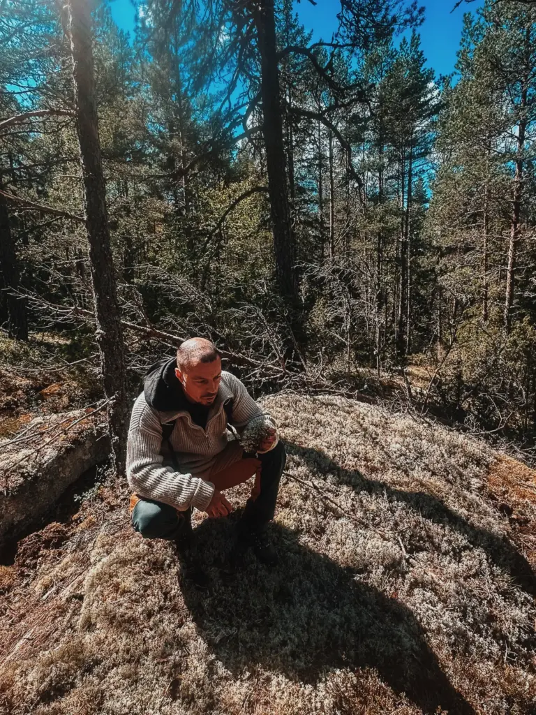 Man crouching in Swedish forest wilderness, examining moss. Solitude in Sweden.