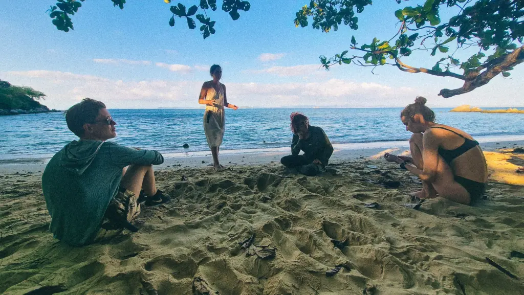 Group of people relaxing on a sandy beach under a tree.